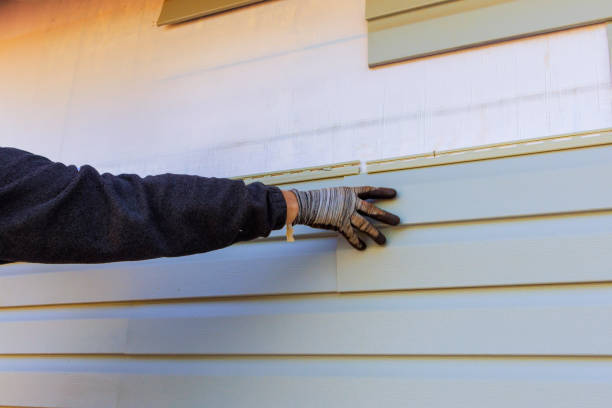 Best Custom Siding Design  in Potosi, MO